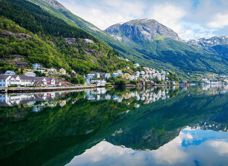 Guided tour to Hardanger Fjord, Waterfalls, Ferry Crossing