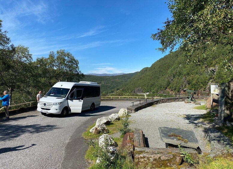 Picture 4 for Activity Guided tour to Hardanger Fjord, Waterfalls, Ferry Crossing