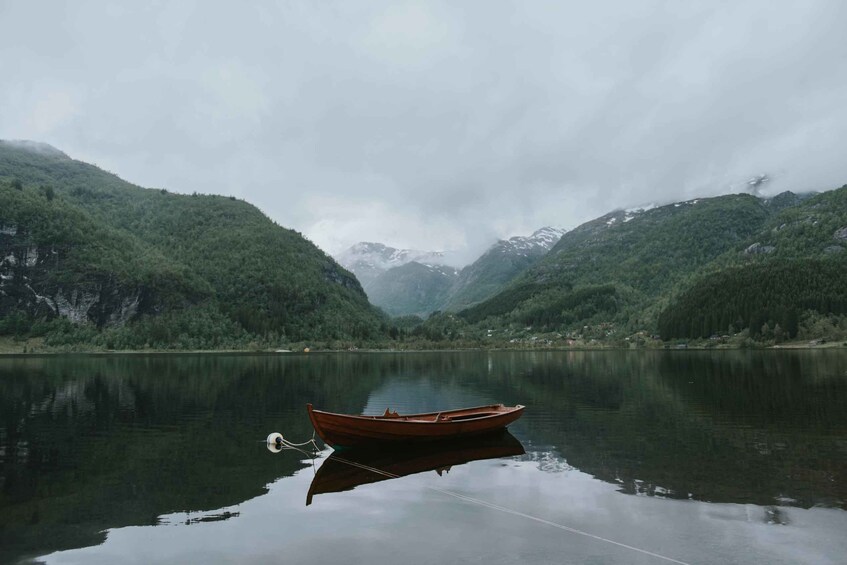 Picture 10 for Activity Guided tour to Hardanger Fjord, Waterfalls, Ferry Crossing