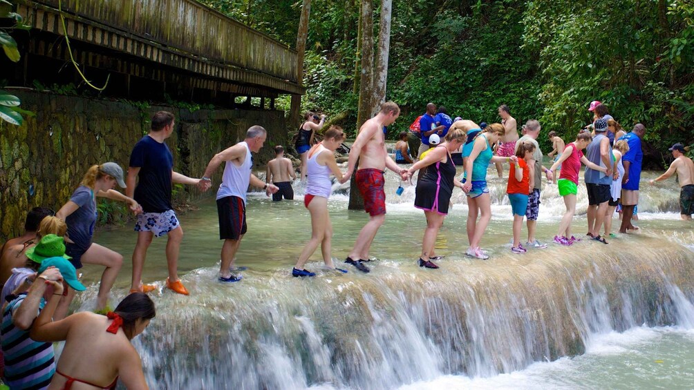 Dunn’s River Fall And Shopping Tour