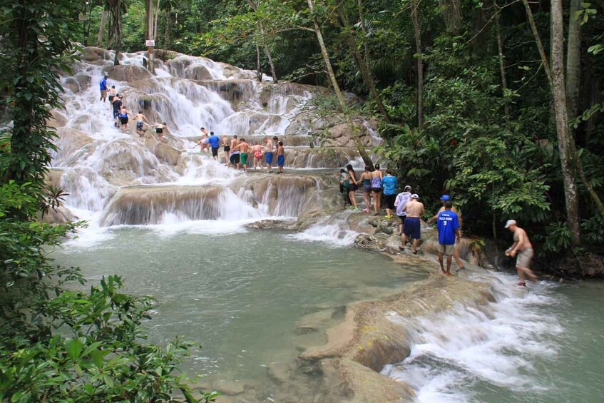 Picture 2 for Activity Dunn’s River Fall And Shopping Tour