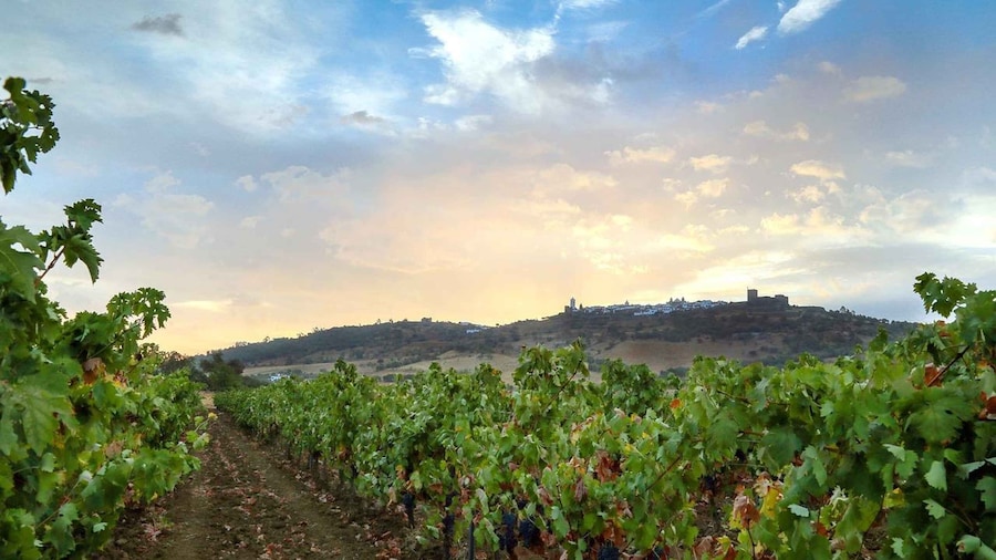 Full-Day Private Cultural Tour in Evora and Monsaraz