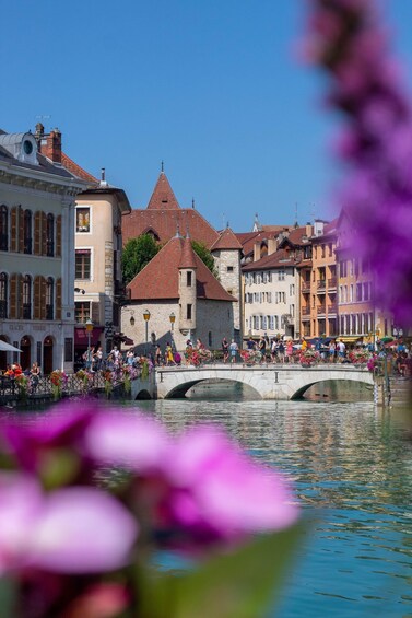 Picture 4 for Activity Annecy: Traditional Food Group Walking Tour