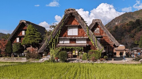 Da Takayama: Gita guidata di un giorno a Takayama e Shirakawa-go