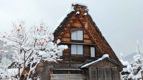 From Takayama: Guided Day Trip to Takayama and Shirakawa-go