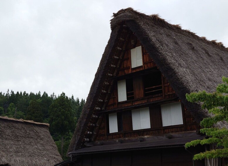 Picture 3 for Activity From Takayama: Guided Day Trip to Takayama and Shirakawa-go