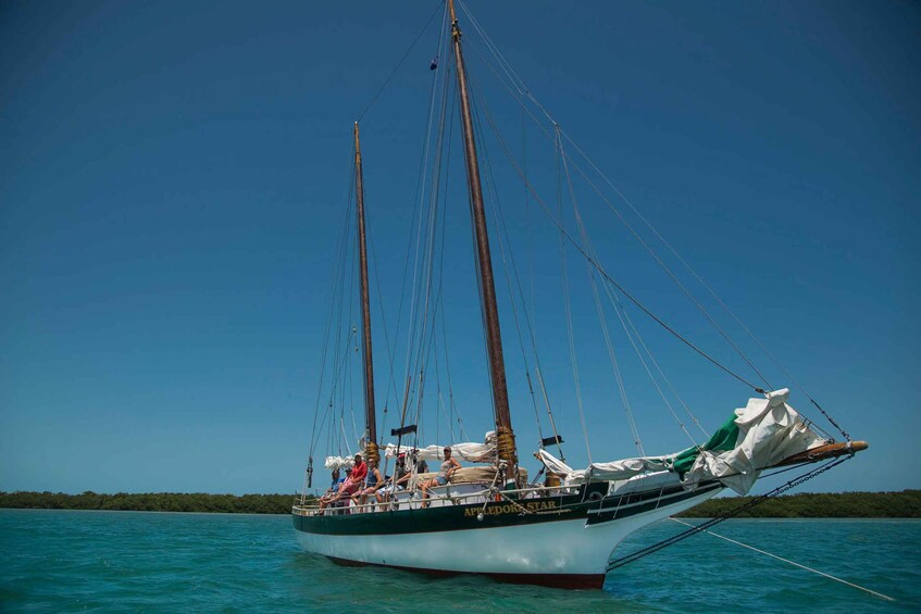 Picture 1 for Activity Key West: Full Day Tour of Key West National Wildlife Refuge