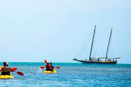 Cayo Hueso Excursión de día completo al Refugio Nacional de Fauna de Cayo H...