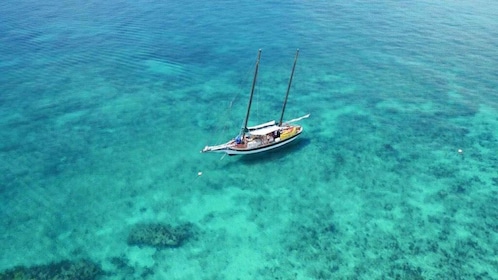 Key West: Tour di un'intera giornata del Key West National Wildlife Refuge