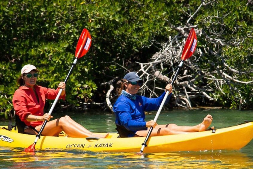 Picture 2 for Activity Key West: Full Day Tour of Key West National Wildlife Refuge