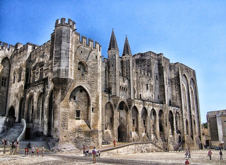 Picture 3 for Activity Avignon Private guided tour and wine tastings from Marseille