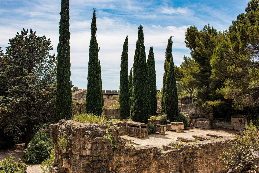 Picture 6 for Activity Avignon Private guided tour and wine tastings from Marseille