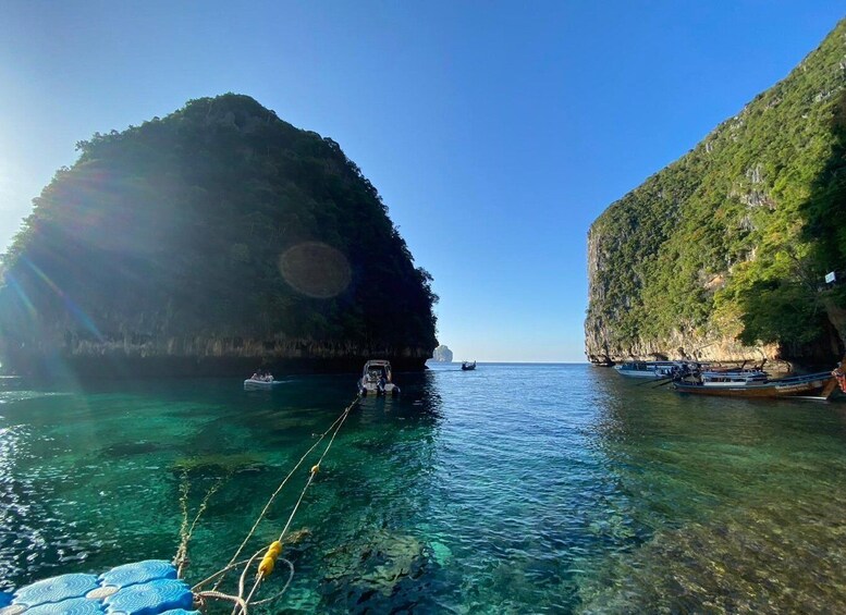 Picture 7 for Activity Phi Phi Island: Sunrise Longtail Boat Tour with Snorkeling