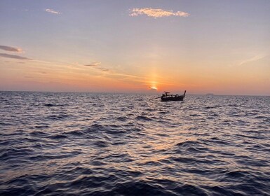 Île de Phi Phi : Lever de soleil en bateau à longue queue excursion avec pl...