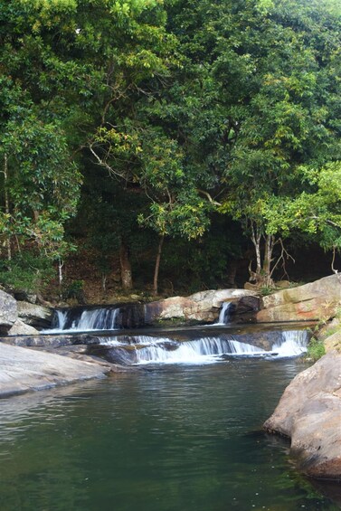 Picture 2 for Activity From Ella: Diyaluma Waterfall & Natural Pool Bath With Lunch