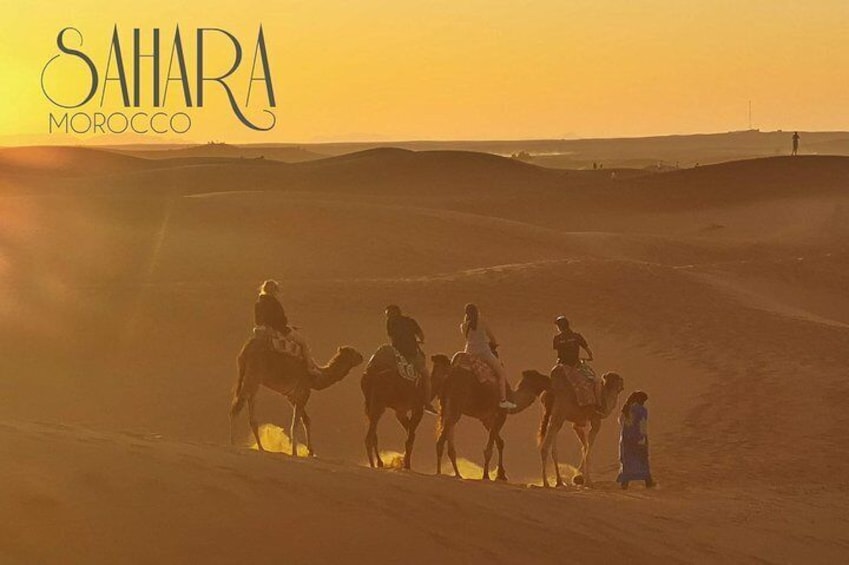  8 Day Trip to Sahara Desert and 4 Imperial Cities