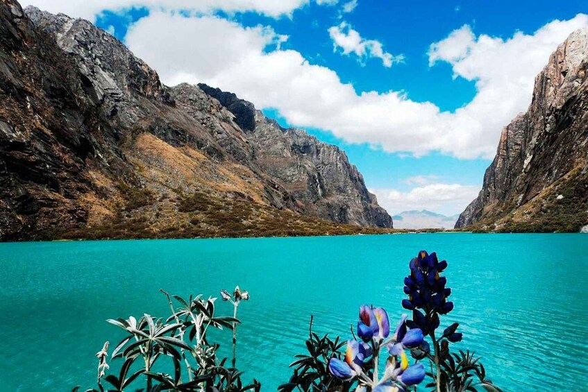 Picture 4 for Activity From Ancash: Huaraz Millennial Paradise |3Days-2Nights|