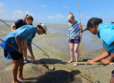 Daintree, krokotiiliristeily, aboriginaalien ranta- ja kalastusretki