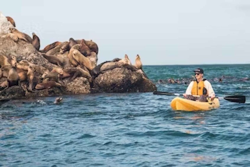 Picture 1 for Activity Monterey: Pebble Beach Kayak Tour