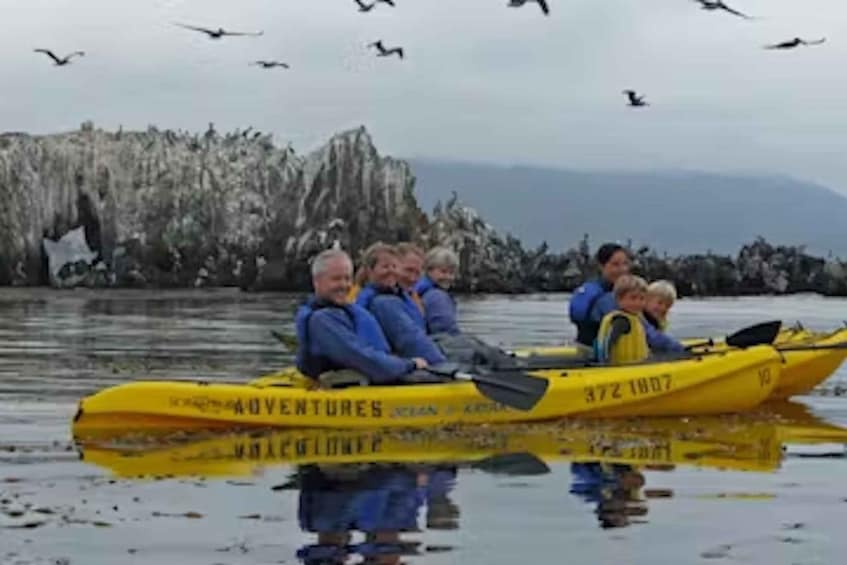 Picture 4 for Activity Monterey: Pebble Beach Kayak Tour