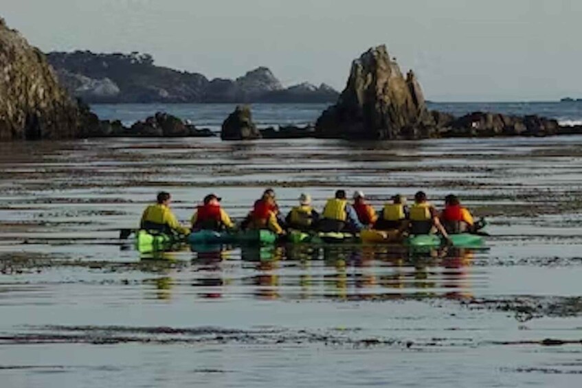 Picture 2 for Activity Monterey: Pebble Beach Kayak Tour