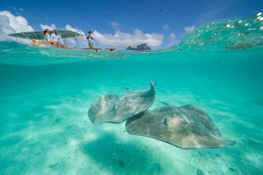 Bora Bora Combo group tour full day snorkeling + motu lunch + jet ski