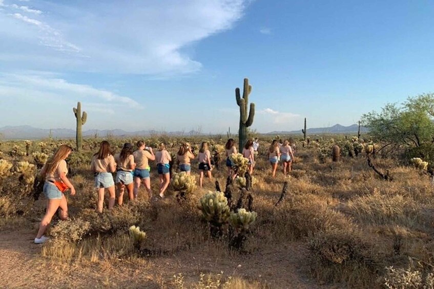 Picture 2 for Activity Scottsdale: McDowell Sonoran Preserve Hiking Tour