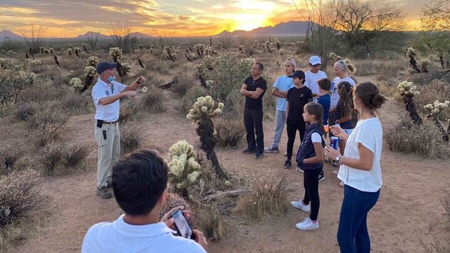 Scottsdale: McDowell Sonoran Preserve Hiking Tour