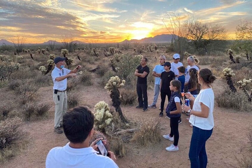 Scottsdale: McDowell Sonoran Preserve Hiking Tour