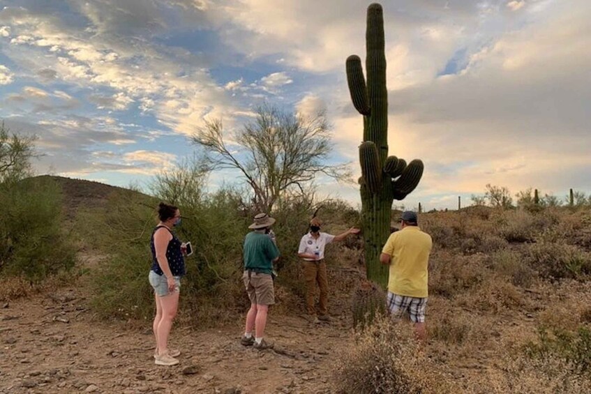 Picture 3 for Activity Scottsdale: McDowell Sonoran Preserve Hiking Tour