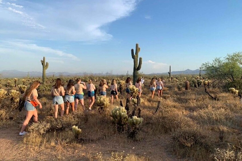 Picture 2 for Activity Scottsdale: McDowell Sonoran Preserve Hiking Tour