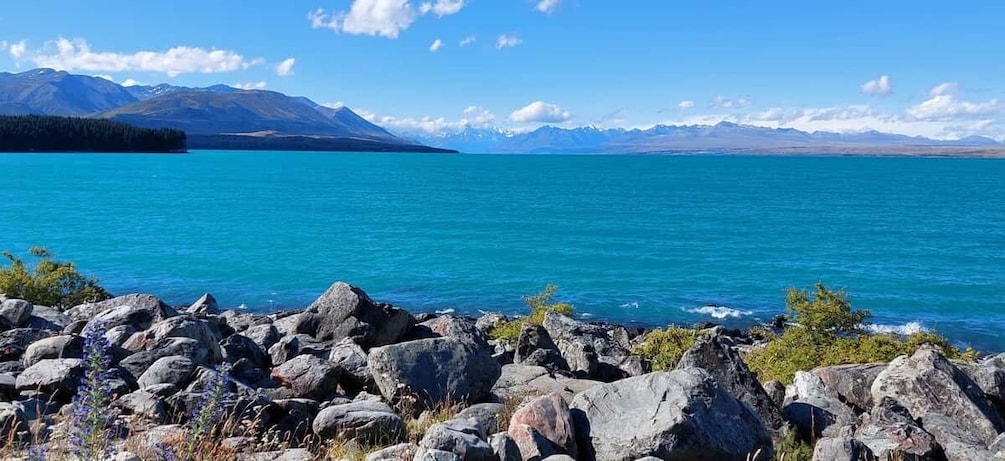 Picture 2 for Activity Mt Cook Tour: Finish at Dunedin, Christchurch or Queenstown