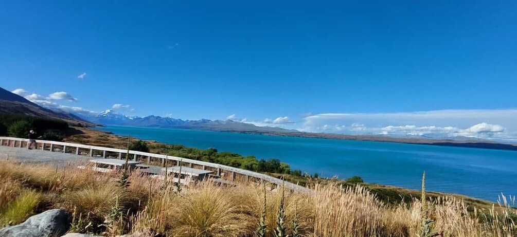 Picture 5 for Activity Mt Cook Tour: Finish at Dunedin, Christchurch or Queenstown