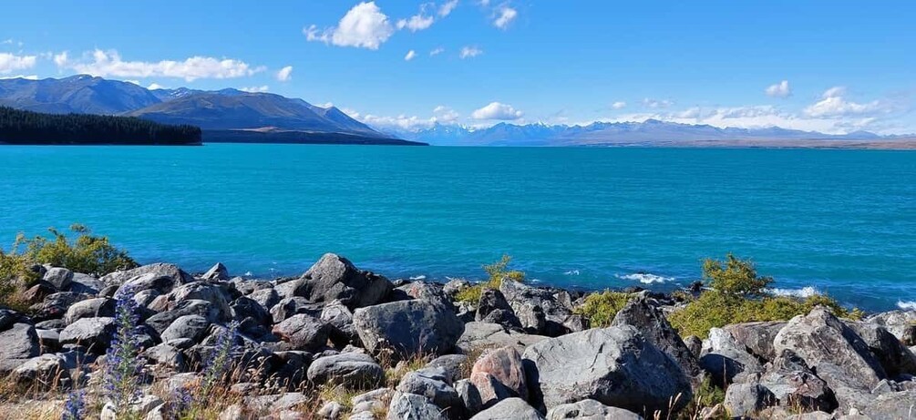 Picture 2 for Activity Mt Cook Tour: Finish at Dunedin, Christchurch or Queenstown