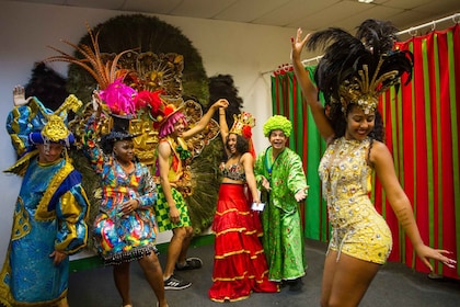 Rio Carnival experience behind the scenes (Pick-up included)