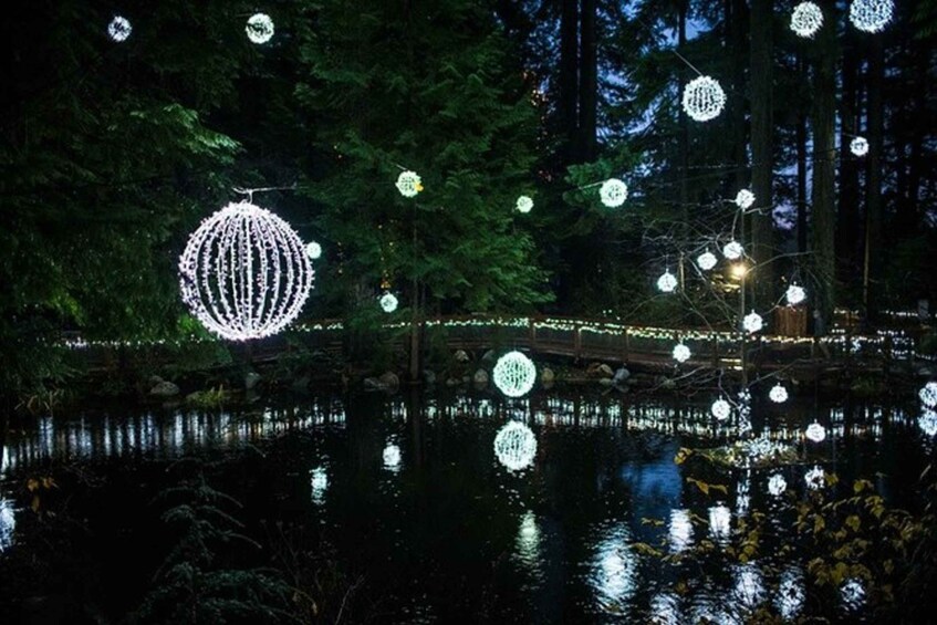 Picture 5 for Activity Vancouver Capilano Canyon light&peak of Christmas in Grouse