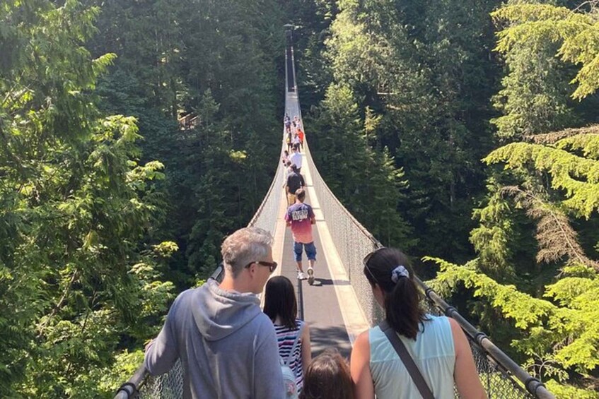 Picture 2 for Activity Vancouver Capilano Canyon light&peak of Christmas in Grouse