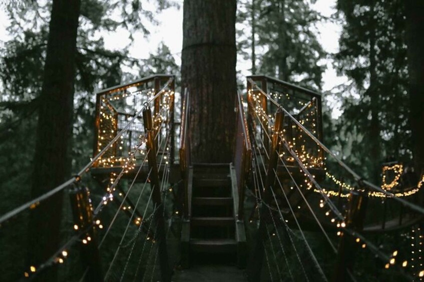 Picture 3 for Activity Vancouver Capilano Canyon light&peak of Christmas in Grouse