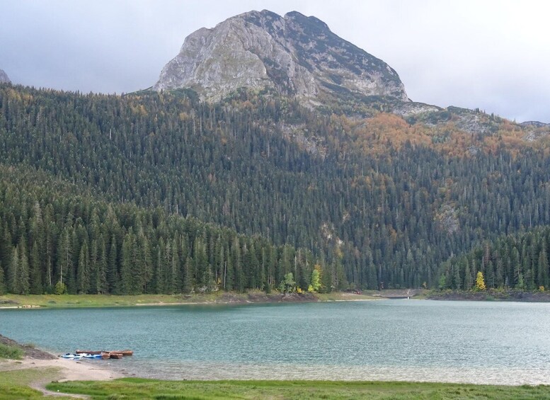 From Podgorica: Durmitor NP & Tara canyon-Amazing Montenegro