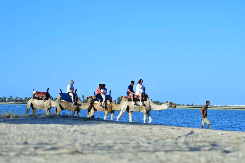 Picture 20 for Activity Djerba Family Package Tours