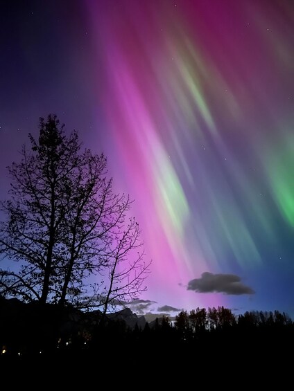 Picture 6 for Activity Banff/Canmore: NIGHT ADVENTURE with possible STARGAZING tour