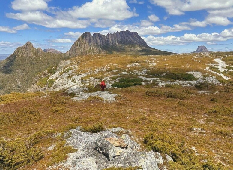 Picture 5 for Activity From Hobart: Cradle Mountain Full Day Tour