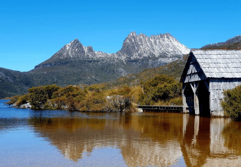 Picture 4 for Activity From Hobart: Cradle Mountain Full Day Tour