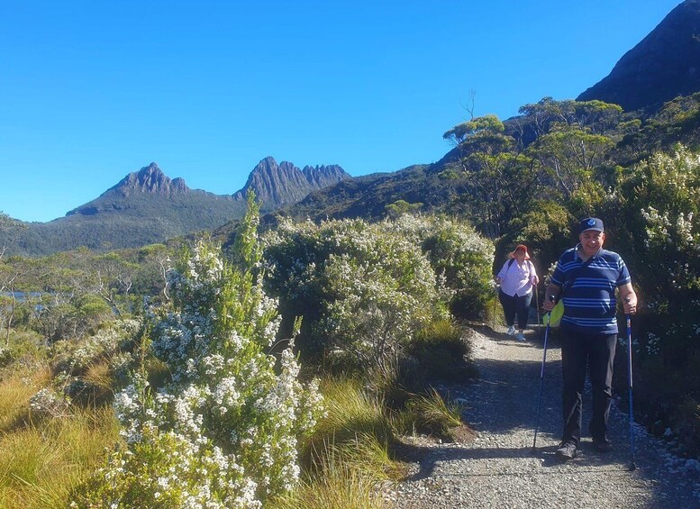 Picture 6 for Activity From Hobart: Cradle Mountain Full Day Tour