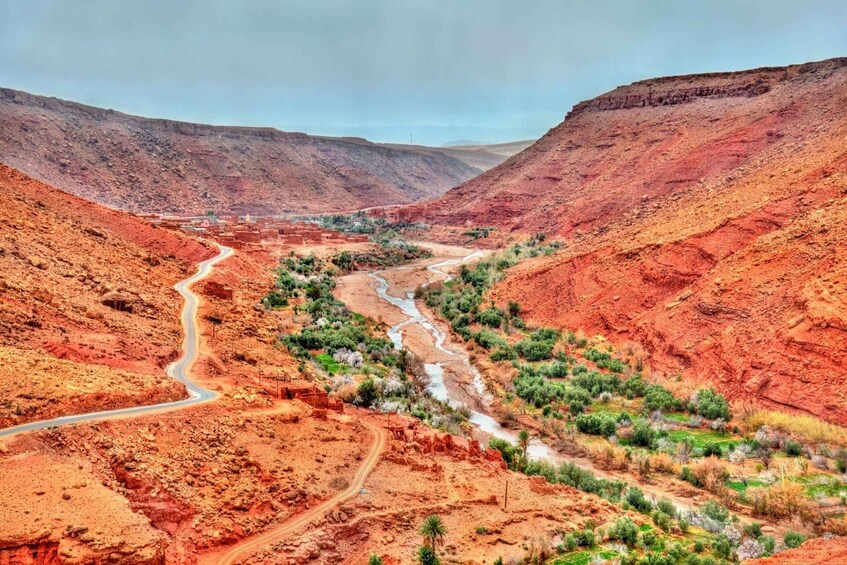 Picture 1 for Activity Agadir or Taghazout: Atlas Mountains & Paradise Valley