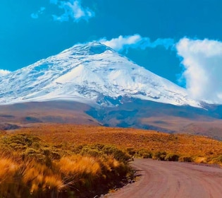 Von Quito aus: Ganztägig zum Cotopaxi