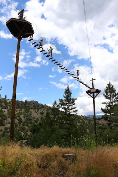 Picture 1 for Activity Gardiner: Guided Zipline EcoTour (3 hours)