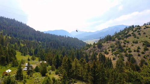 Gardiner: EcoTour guidato in zipline (3 ore)
