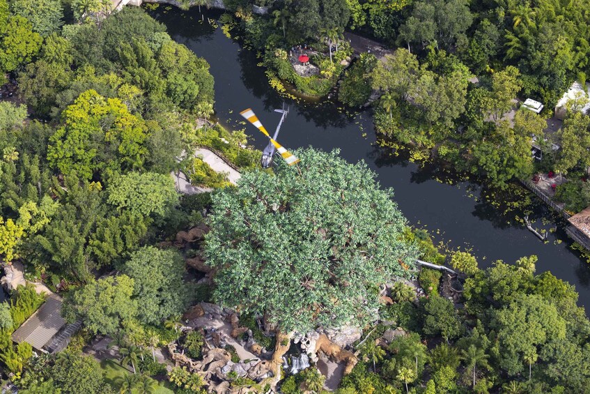 Picture 3 for Activity Orlando: Narrated Helicopter Flight Over Theme Parks