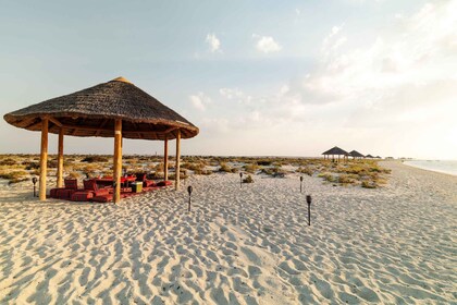 Doha: Al Safliya eiland boottocht met lunch